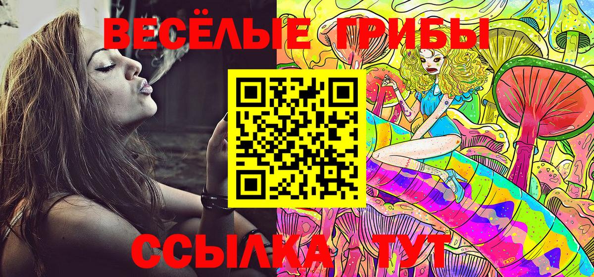 Псилоцибиновые грибы Cubensis Ульяновск