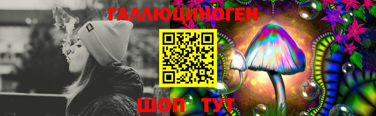 Ульяновск  Псилоцибиновые грибы MAGIC MUSHROOMS  Вход с VPN  Галлюциногенные грибы MAGIC MUSHROOMS 