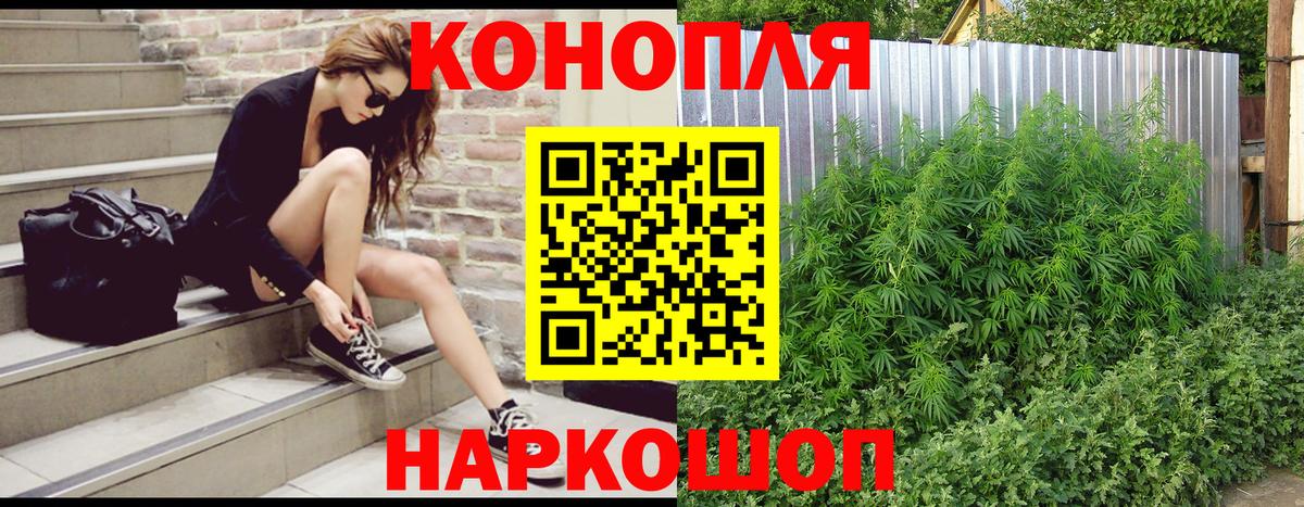Конопля OG Kush Ульяновск